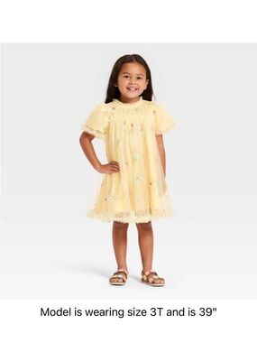 Toddler Girls' Mad Engine Floral Embroidered Dress - Yellow Tulle 3T
